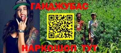 стаф Будённовск