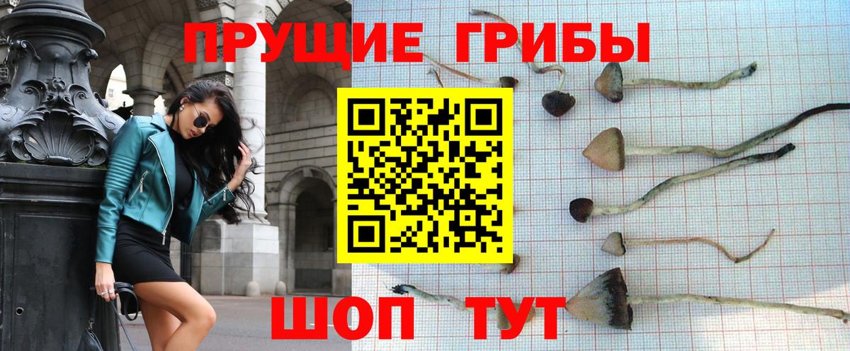 Псилоцибиновые грибы мицелий  Вход с VPN  продажа наркотиков  Сергиев Посад 