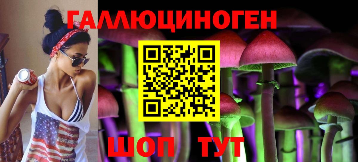 Псилоцибиновые грибы GOLDEN TEACHER Сергиев Посад